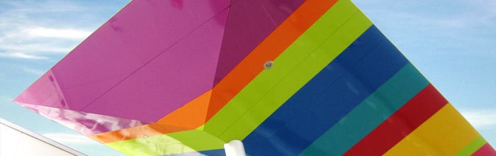 Screen and Cut Header Image